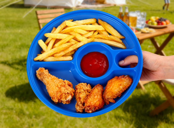 Ozark Trail Blue 10" Picnic Tray & Camping Plate Walmart