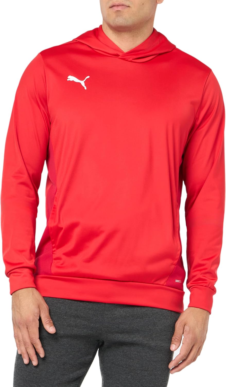 PUMA Men's teamGOAL Training Hoodie, PUMA Red-PUMA White-Fast Red, Large