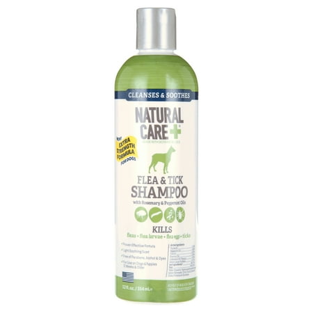 Natural Care Flea and Tick Dog Shampoo with Peppermint - 12oz