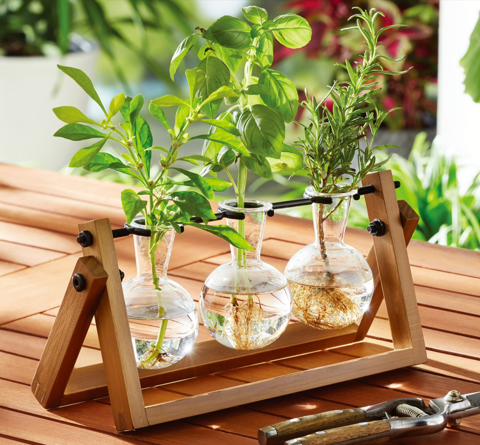 Better Homes & Gardens Propagation Vase Station Set Walmart