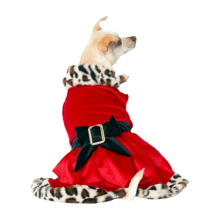 CANINI by Baguette Mrs. Claws, Small