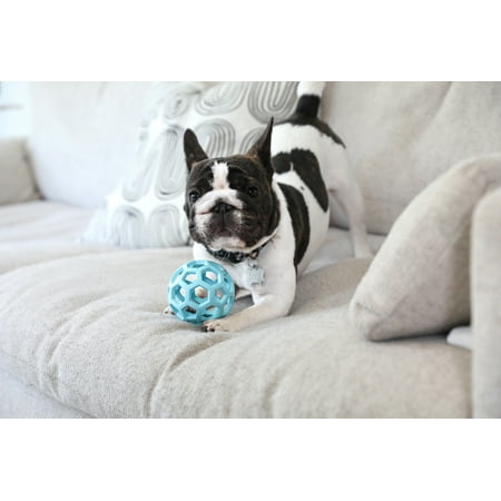 JW HOL-ee Roller™ Tug and Fetch Treat Dispenser Puzzle Ball Dog Toy, Natural Rubber, Small 3" for Small Dogs up to 20 lb, Blue, Pack of 1