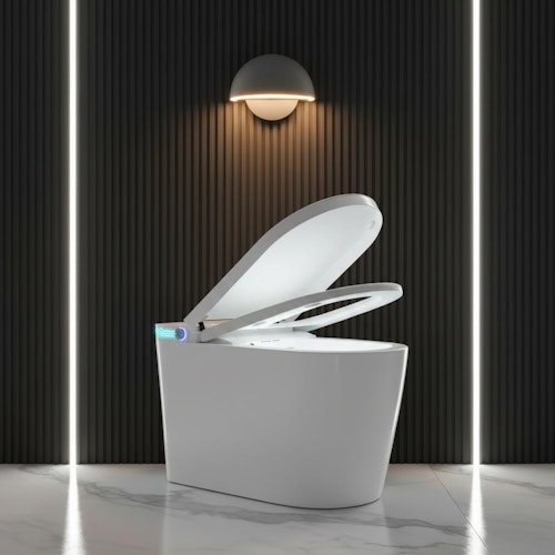 SmartWhale Electric Smart Toilet with Built-in Bidet