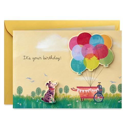 Hallmark Paper Wonder Pop Up Birthday Card Amazon