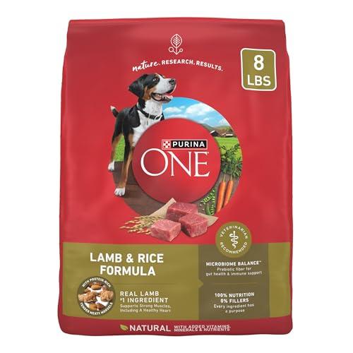 8lb Purina ONE Dry Dog Food Amazon
