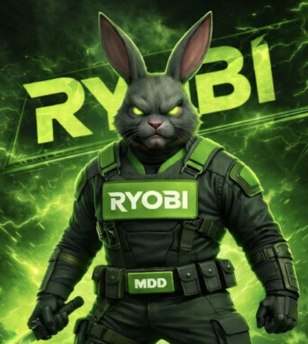 Ryobi Power Tools on eBay Live