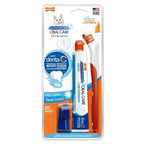 Nylabone Advanced Oral Care Cat Dental Kit Amazon