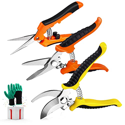 3pk Pruning Shears & Garden Gloves $9