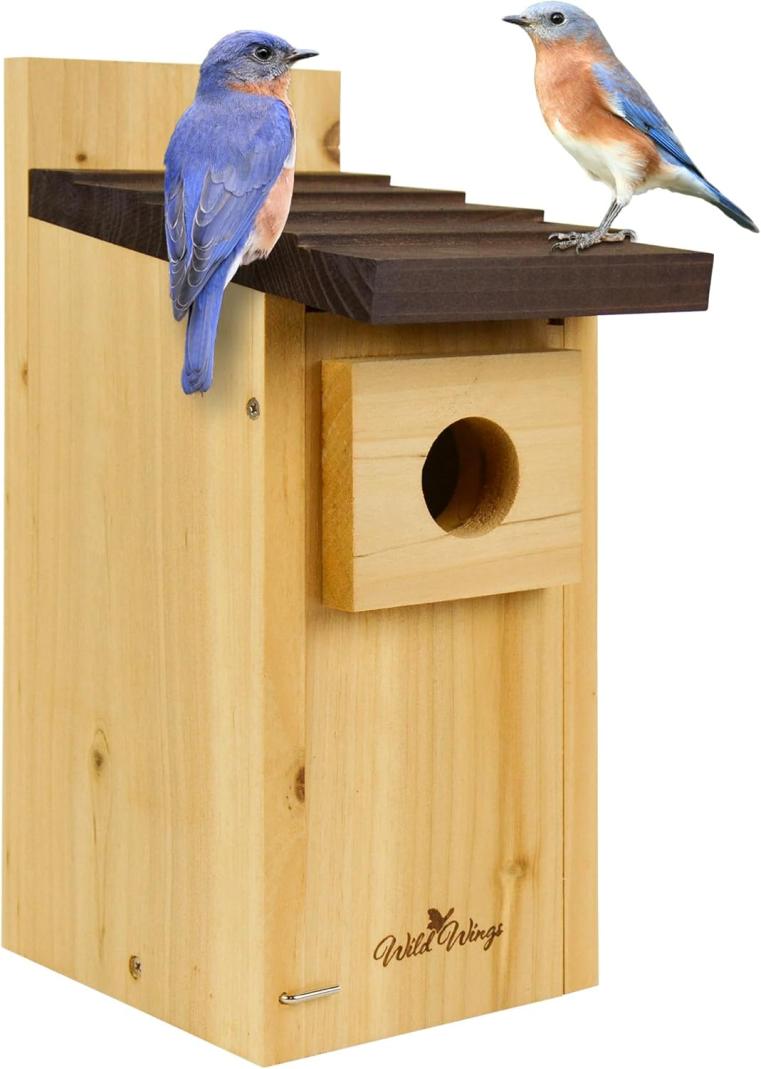 Wild Wings Cedar Blue Bird Box House Amazon