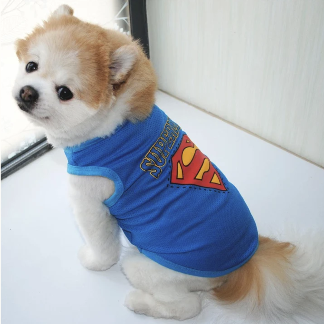 Dress Your Pup: 3 Tees for $8