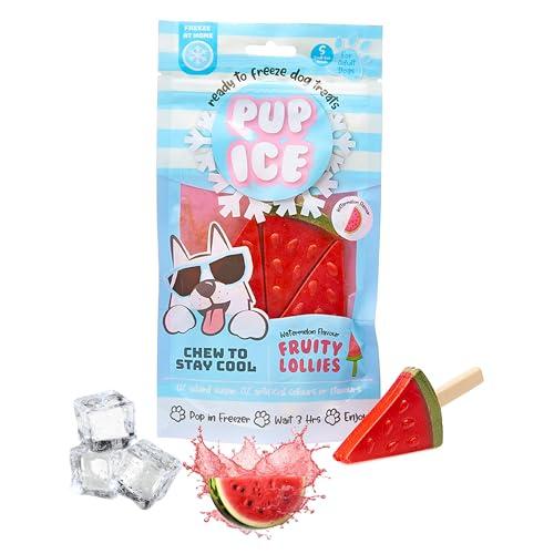 SPOT Pup Ice Ready to Freeze at Home Dog Treats Amazon